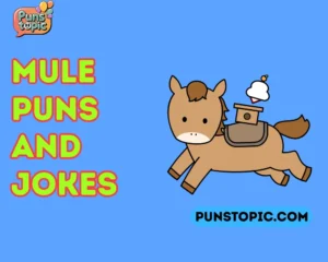 Mule Puns and Jokes: