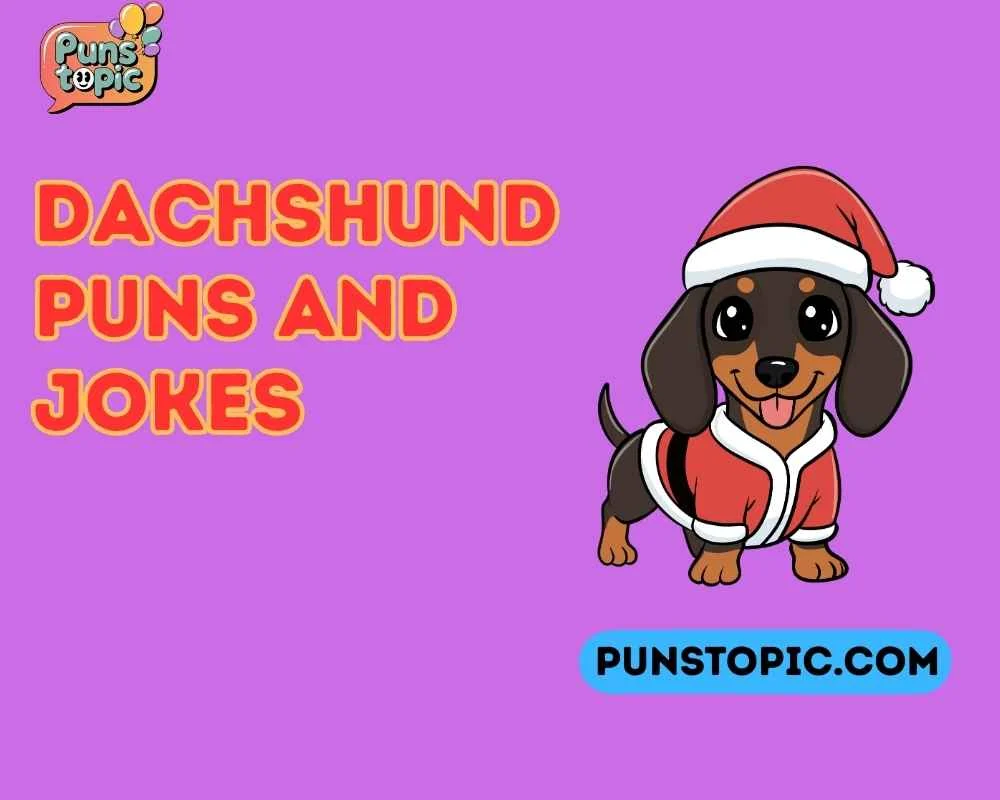 Dachshund puns and jokes