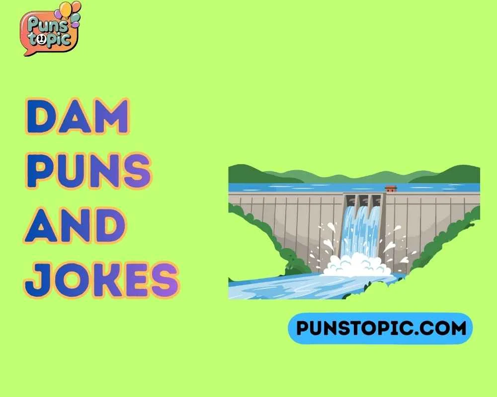 Dam puns and jokes