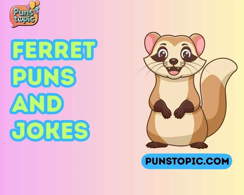 Ferret puns and jokes