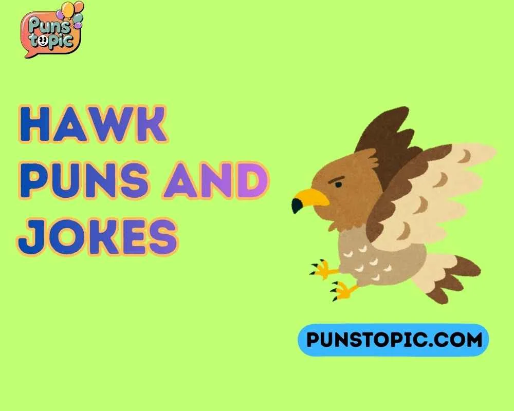 Hawk puns and jokes