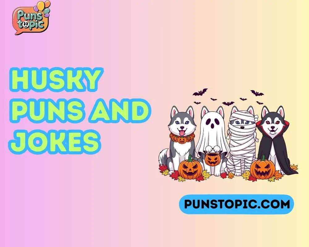 Husky puns and jokes