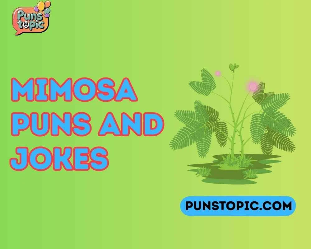 Mimosa puns and jokes