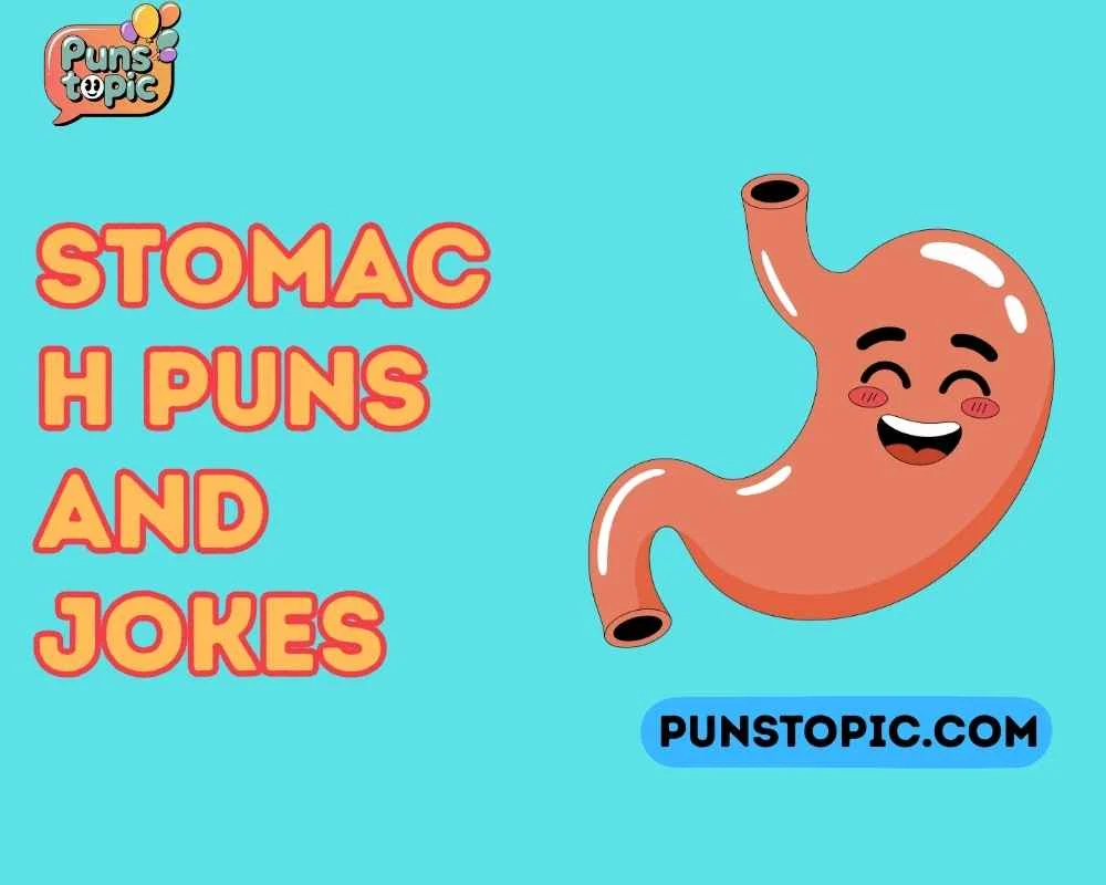 Stomach puns and jokes