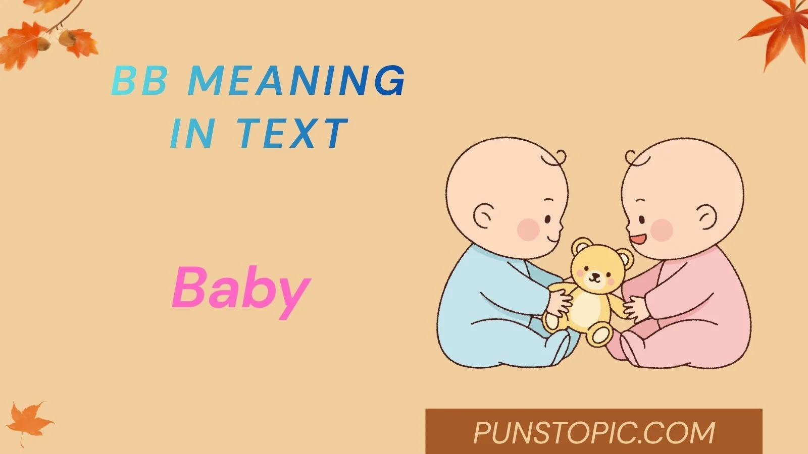 bb meaning in text