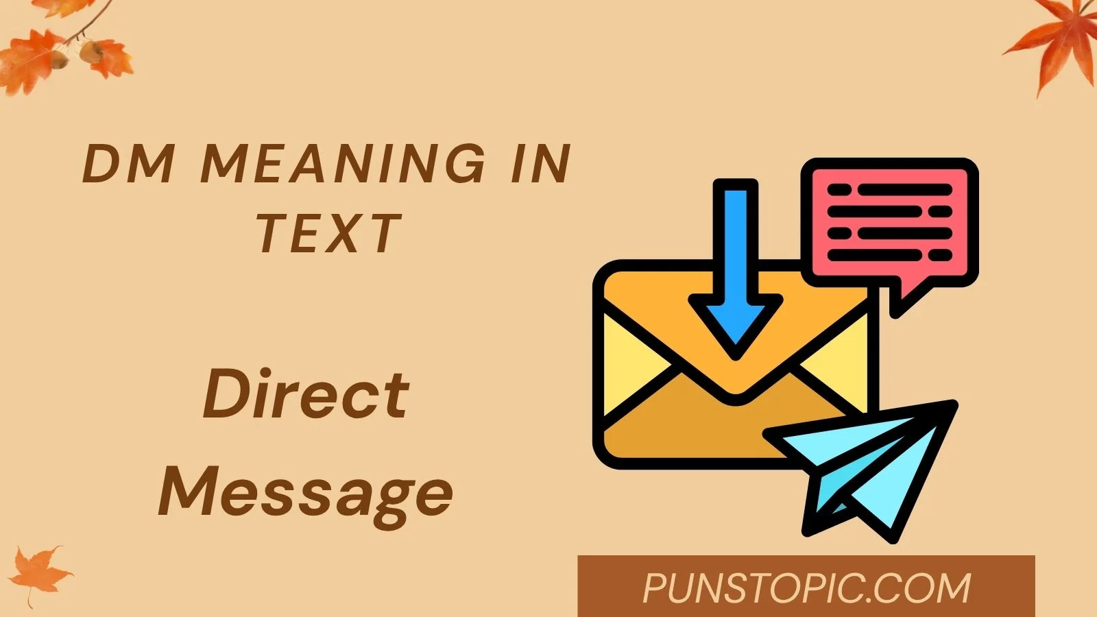 dm meaning in text