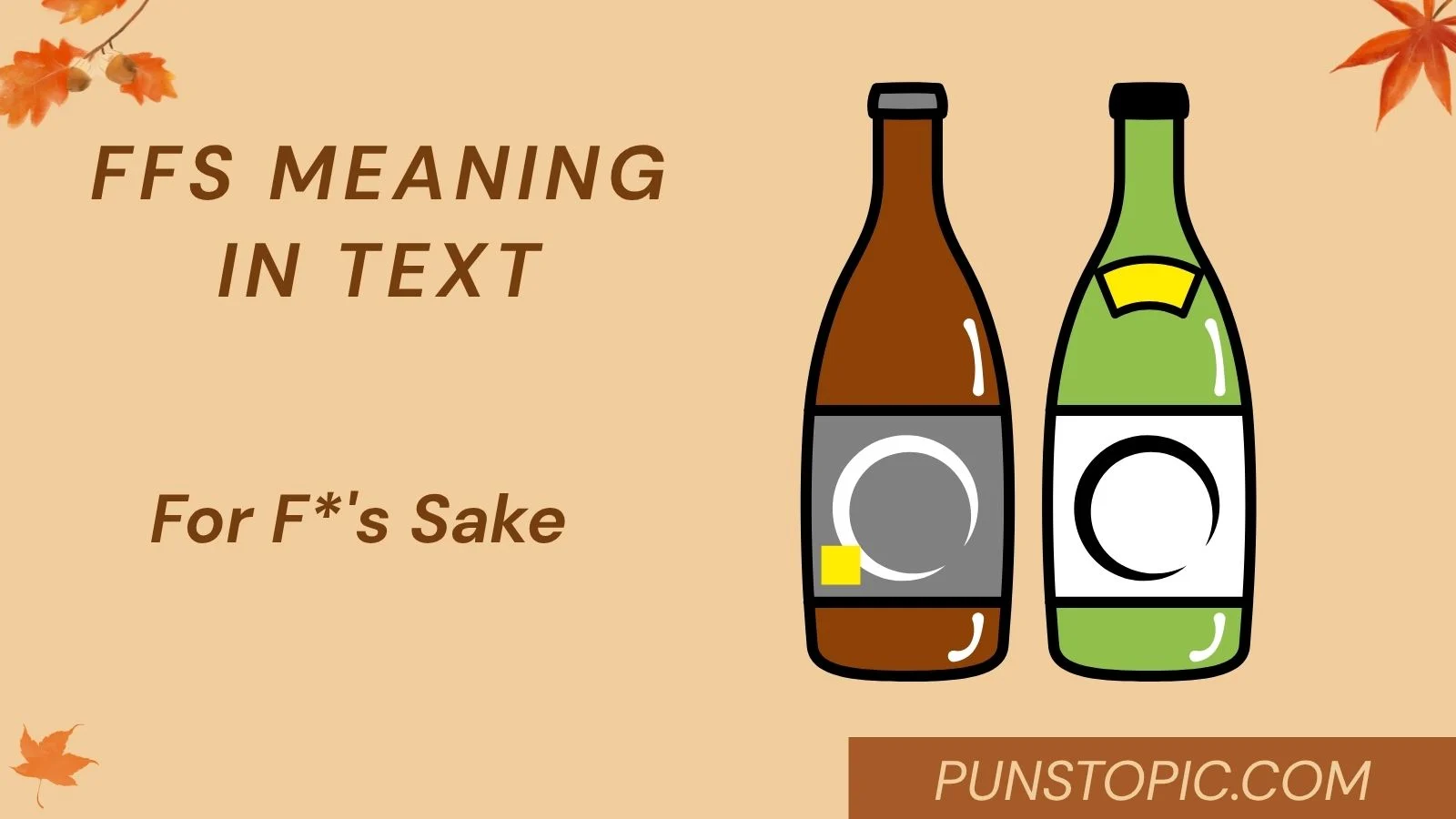 ffs meaning in text
