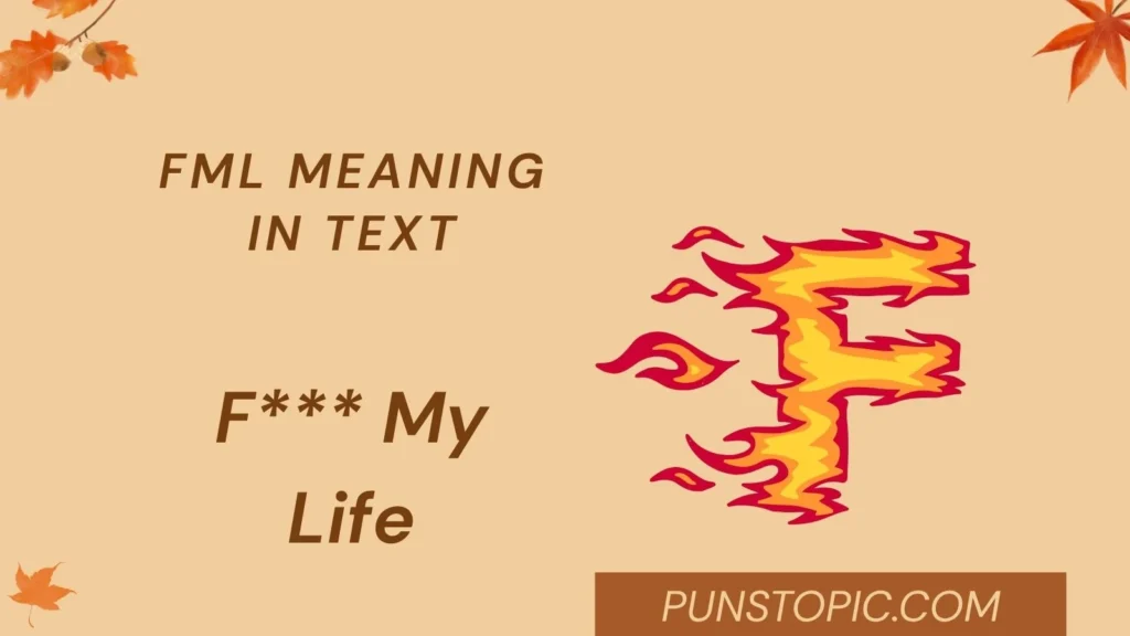 fml meaning in text
