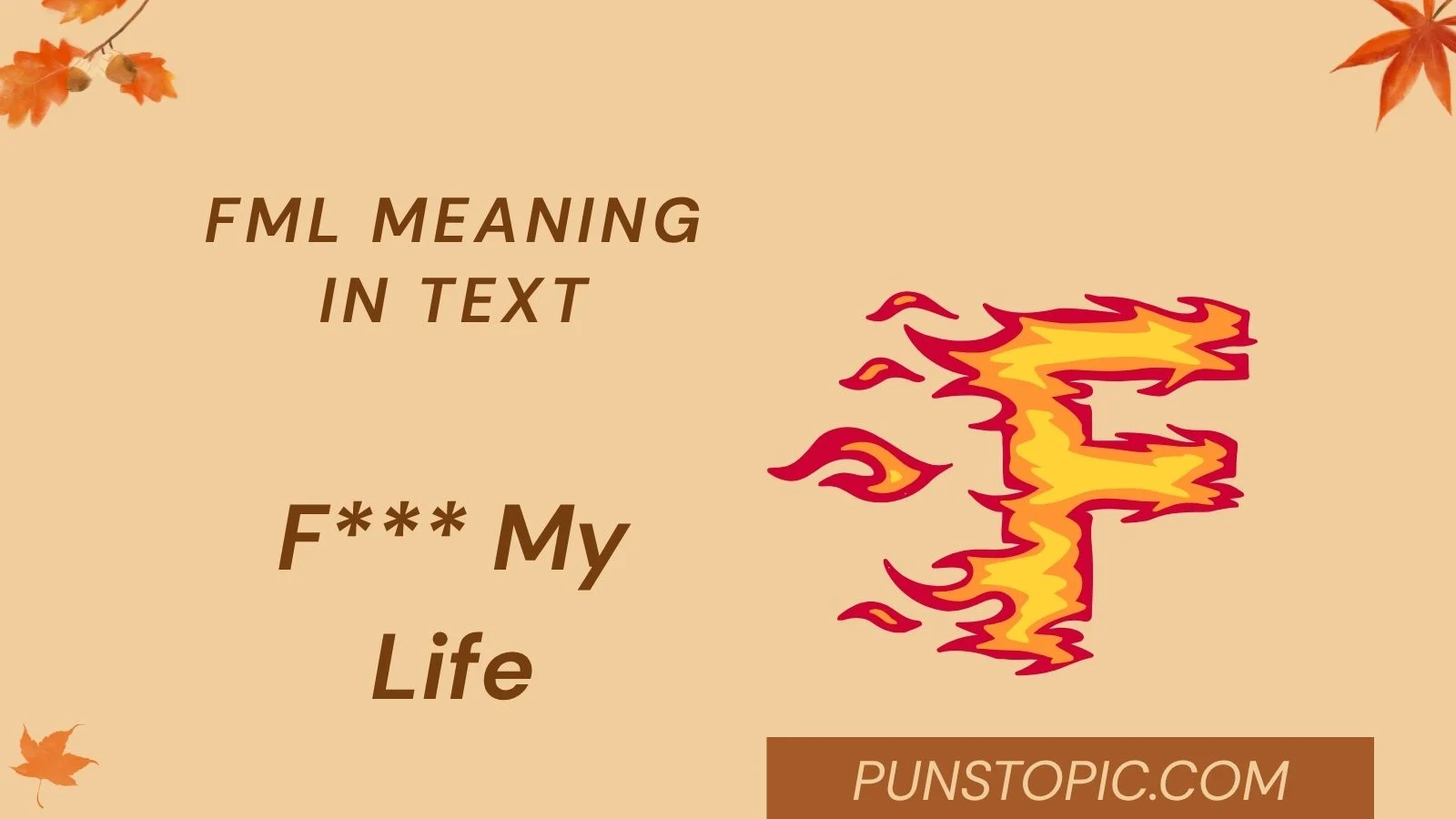 fml meaning in text