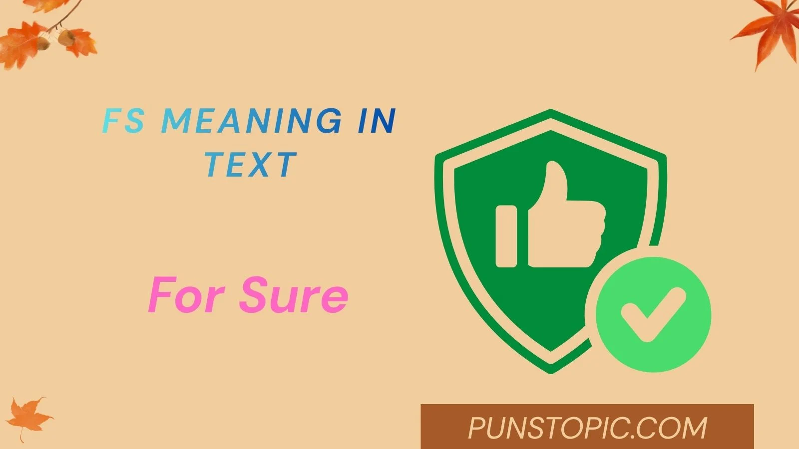 fs meaning in text