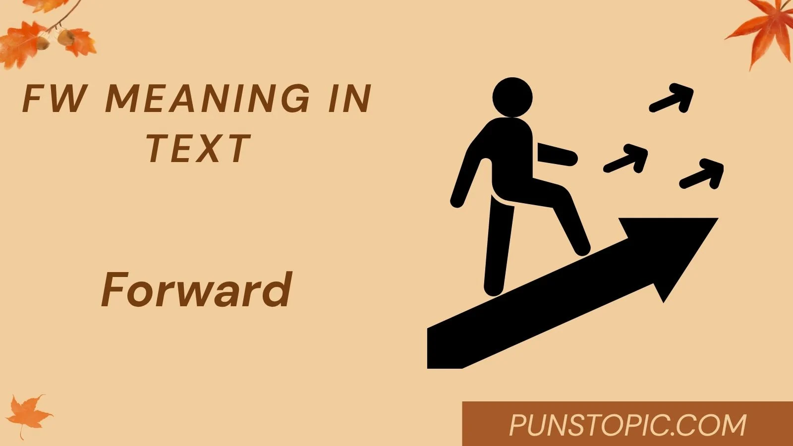 fw meaning in text