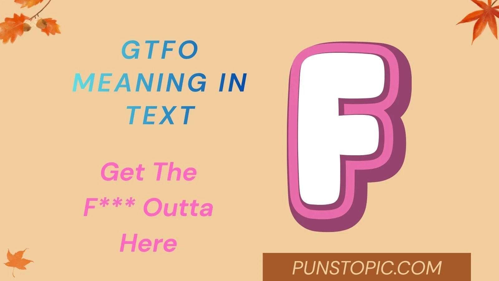 gtfo meaning in text