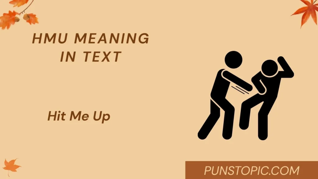 hmu meaning in text