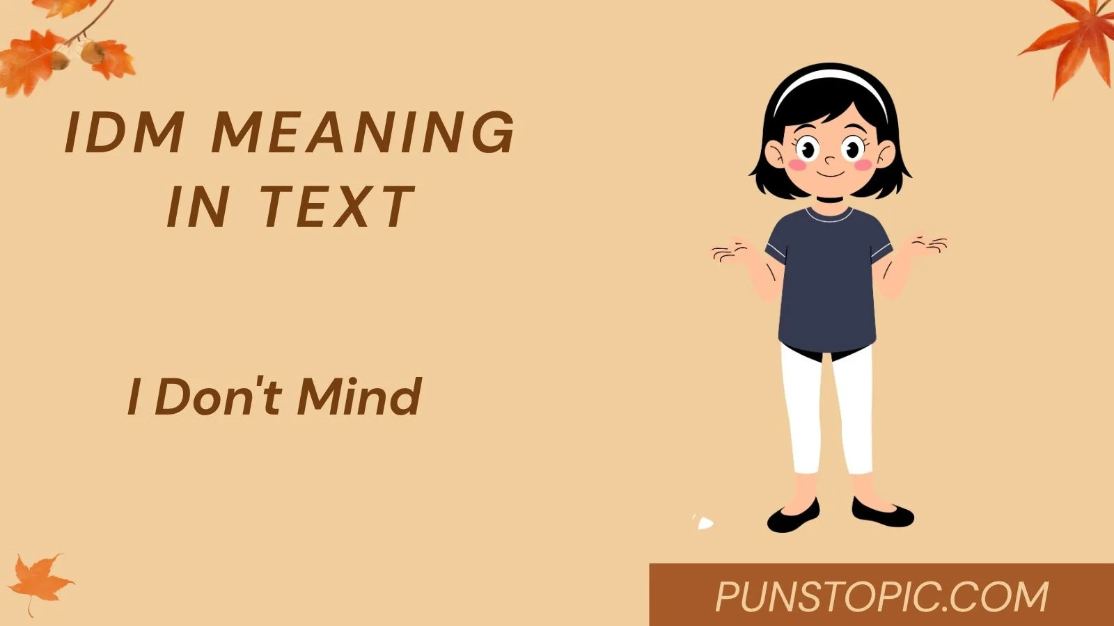 idm meaning in text