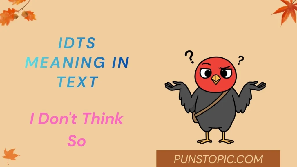 idts meaning in text