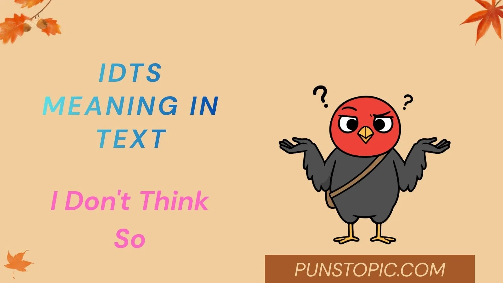 idts meaning in text