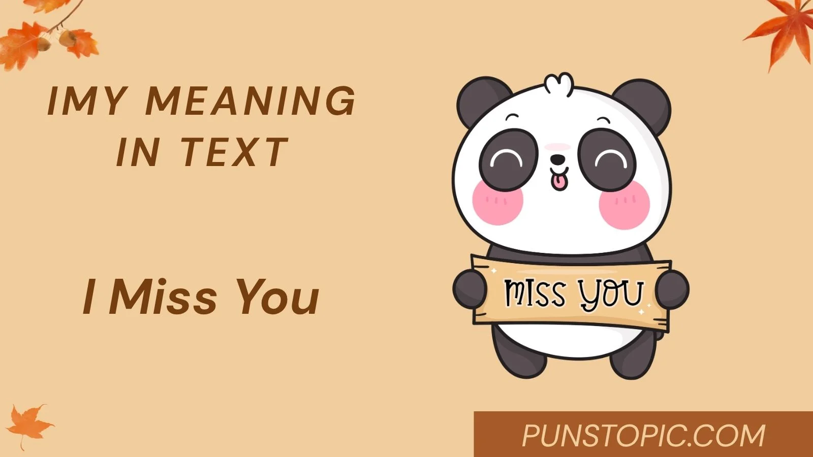 imy meaning in text