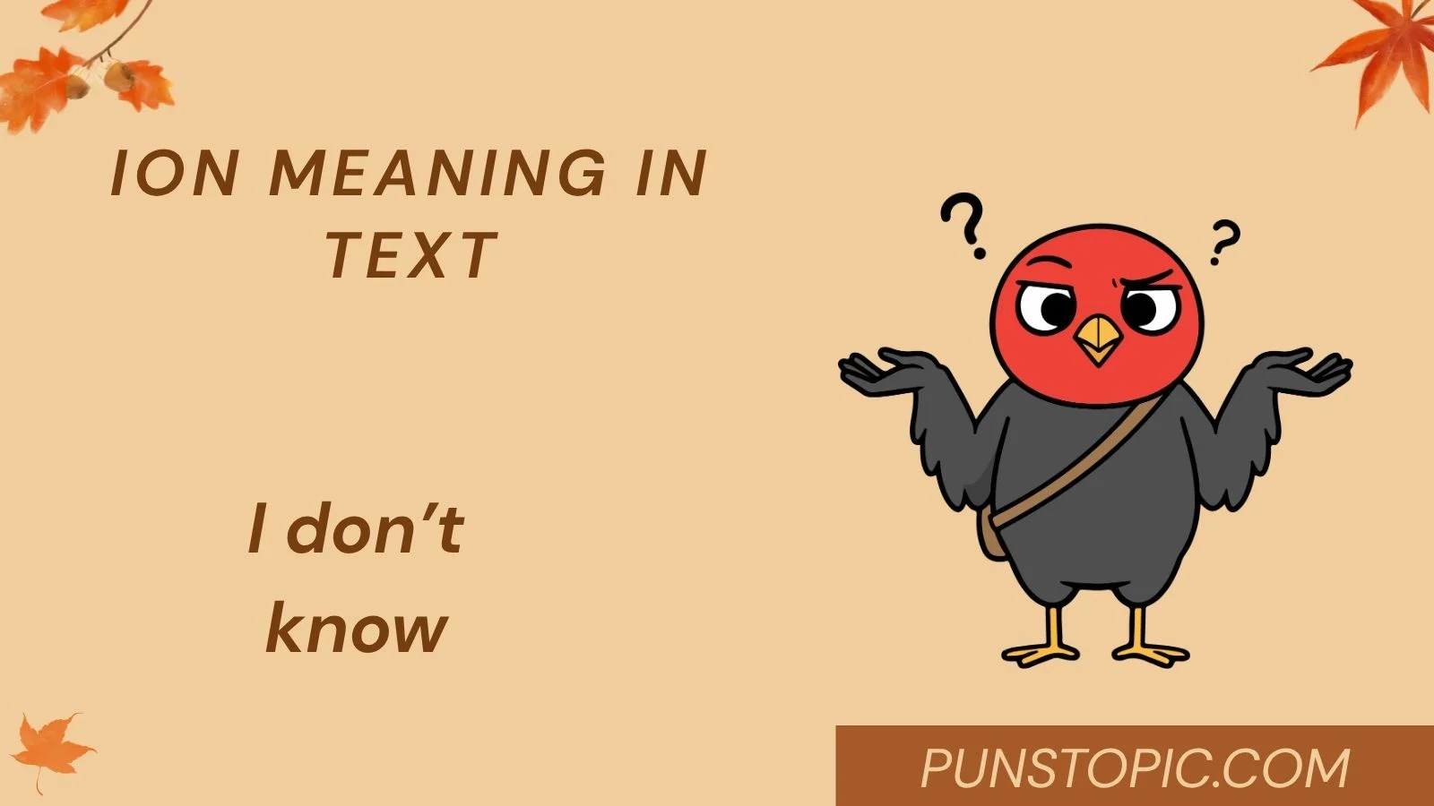 ion meaning in text
