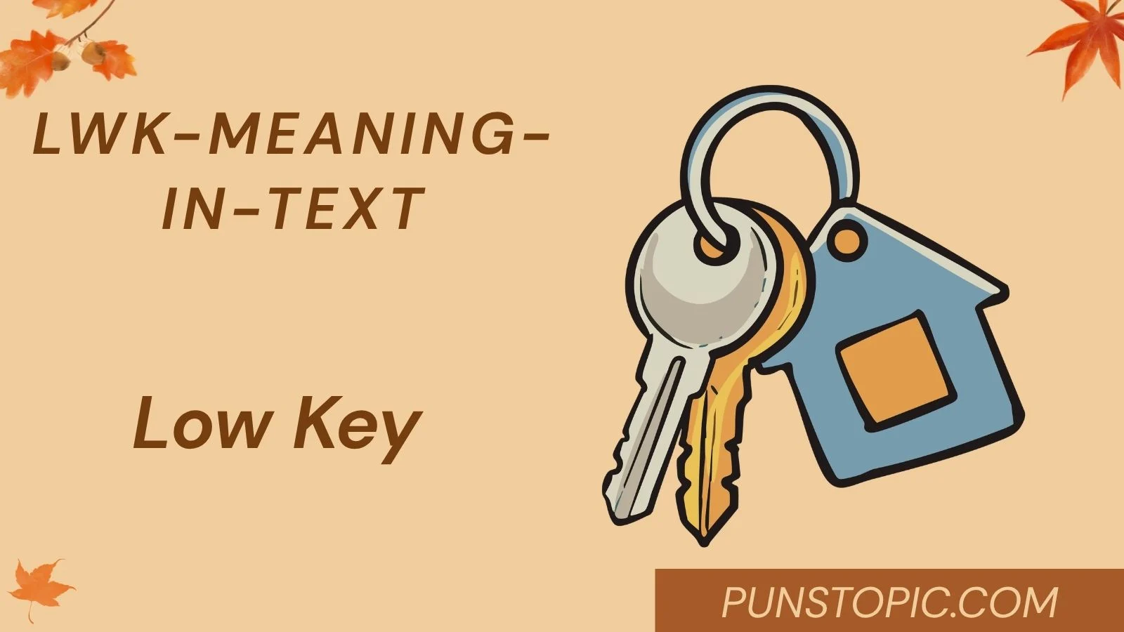 lwk meaning in text