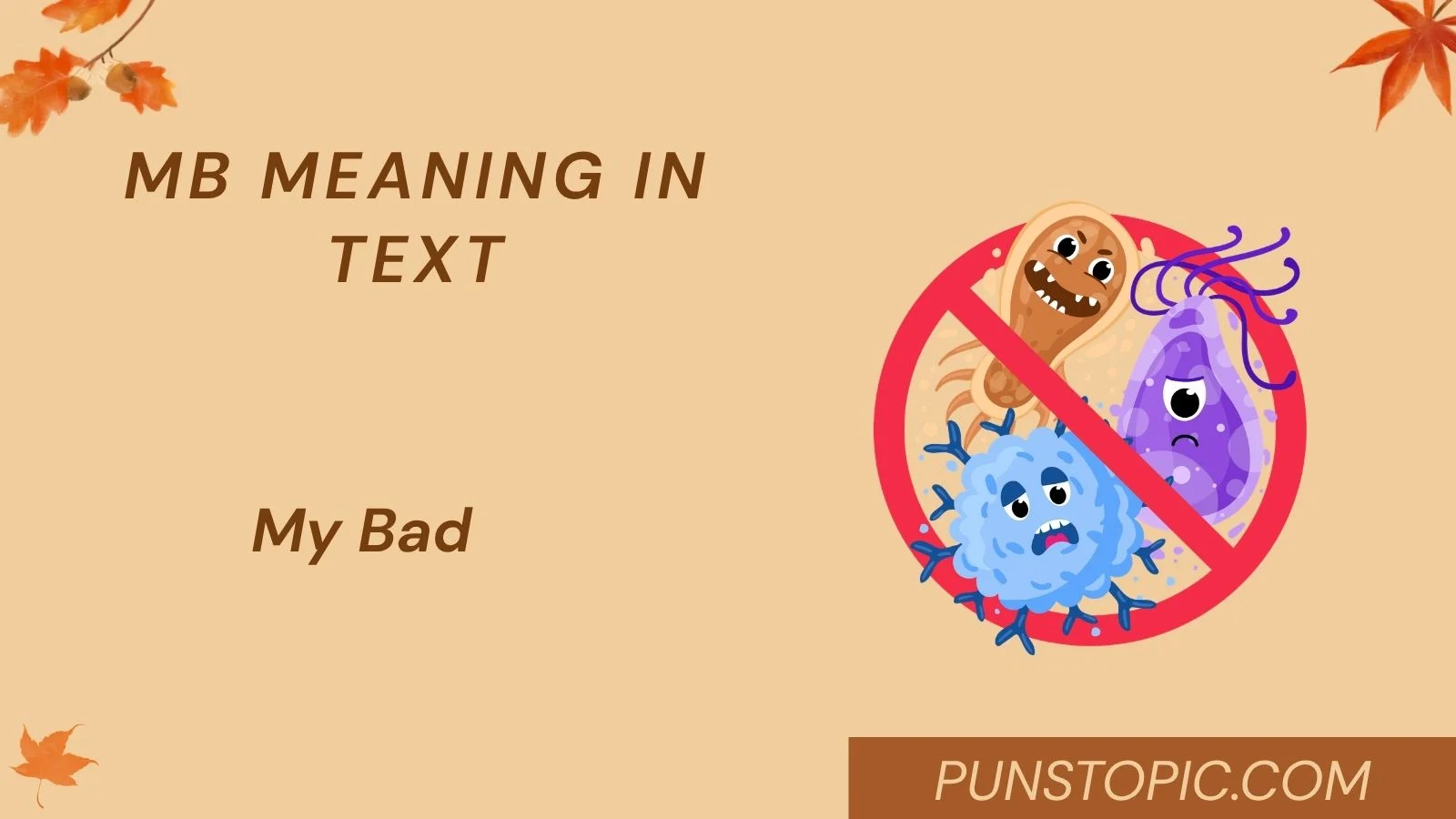 mb meaning in text