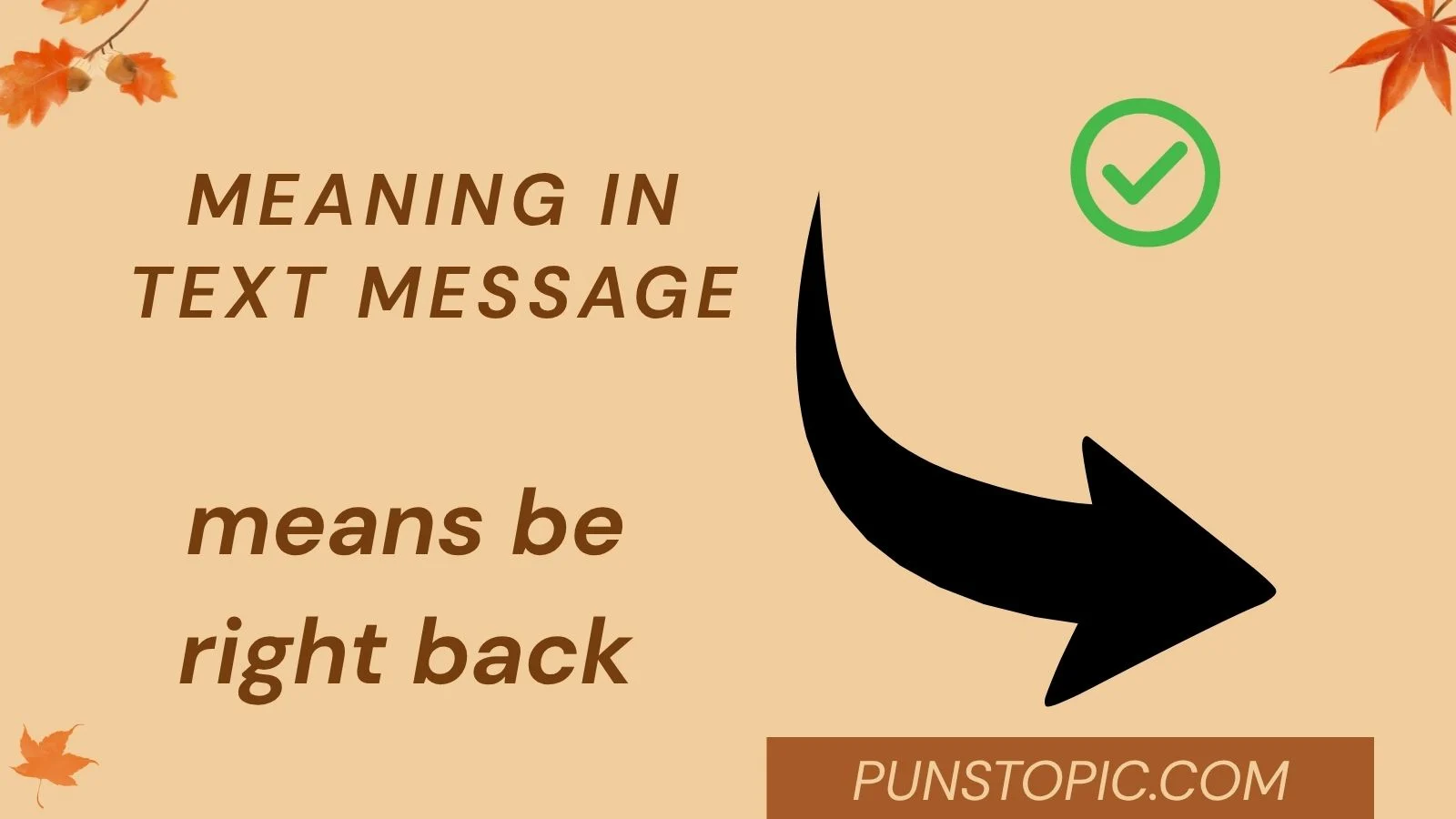 meaning in text message