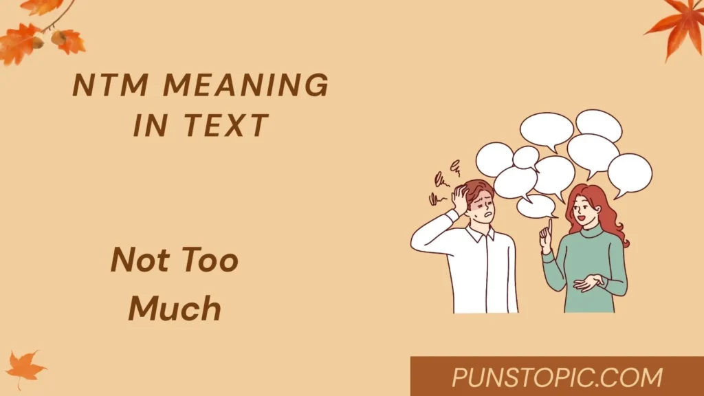 ntm meaning in text