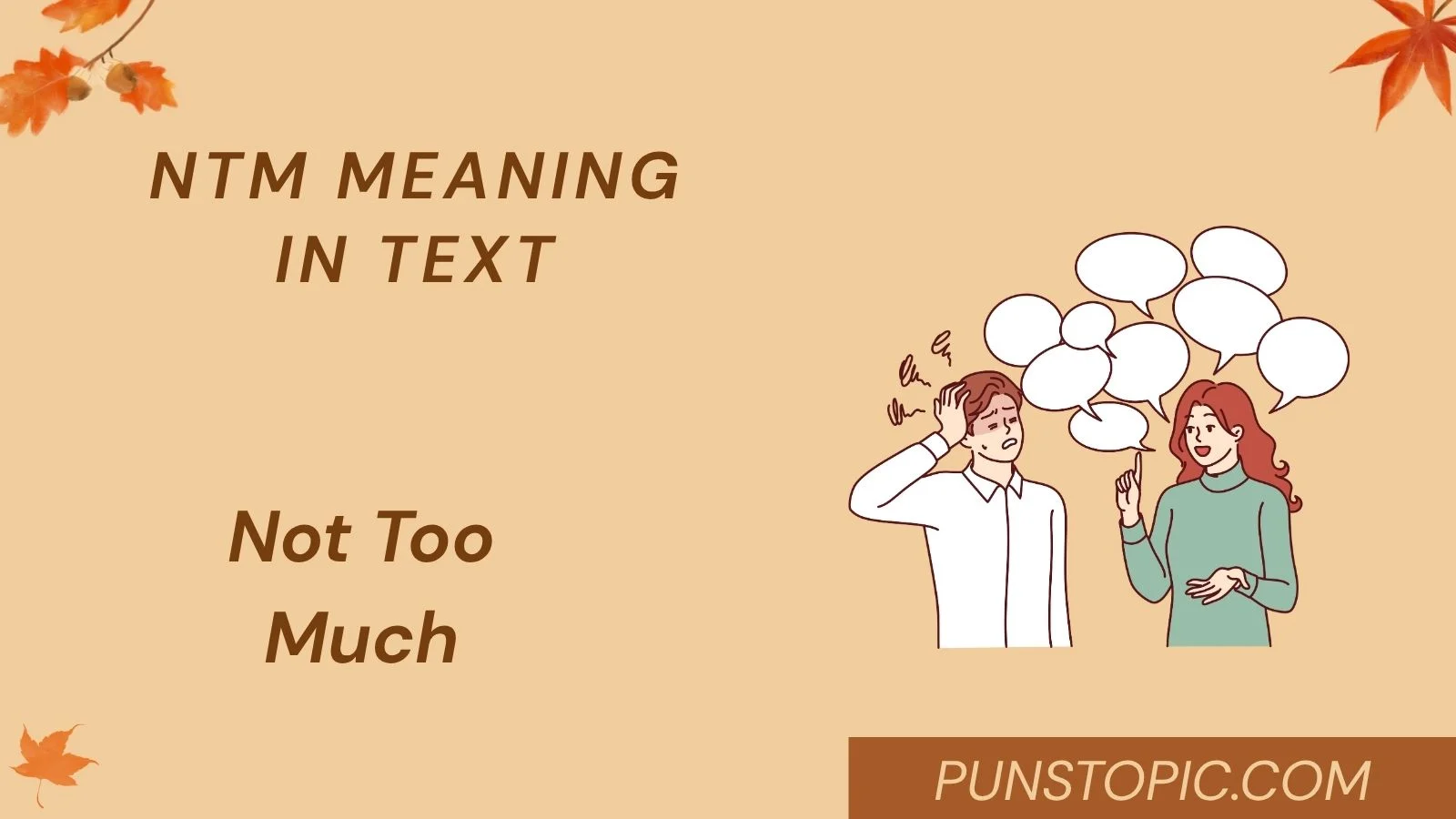 ntm meaning in text