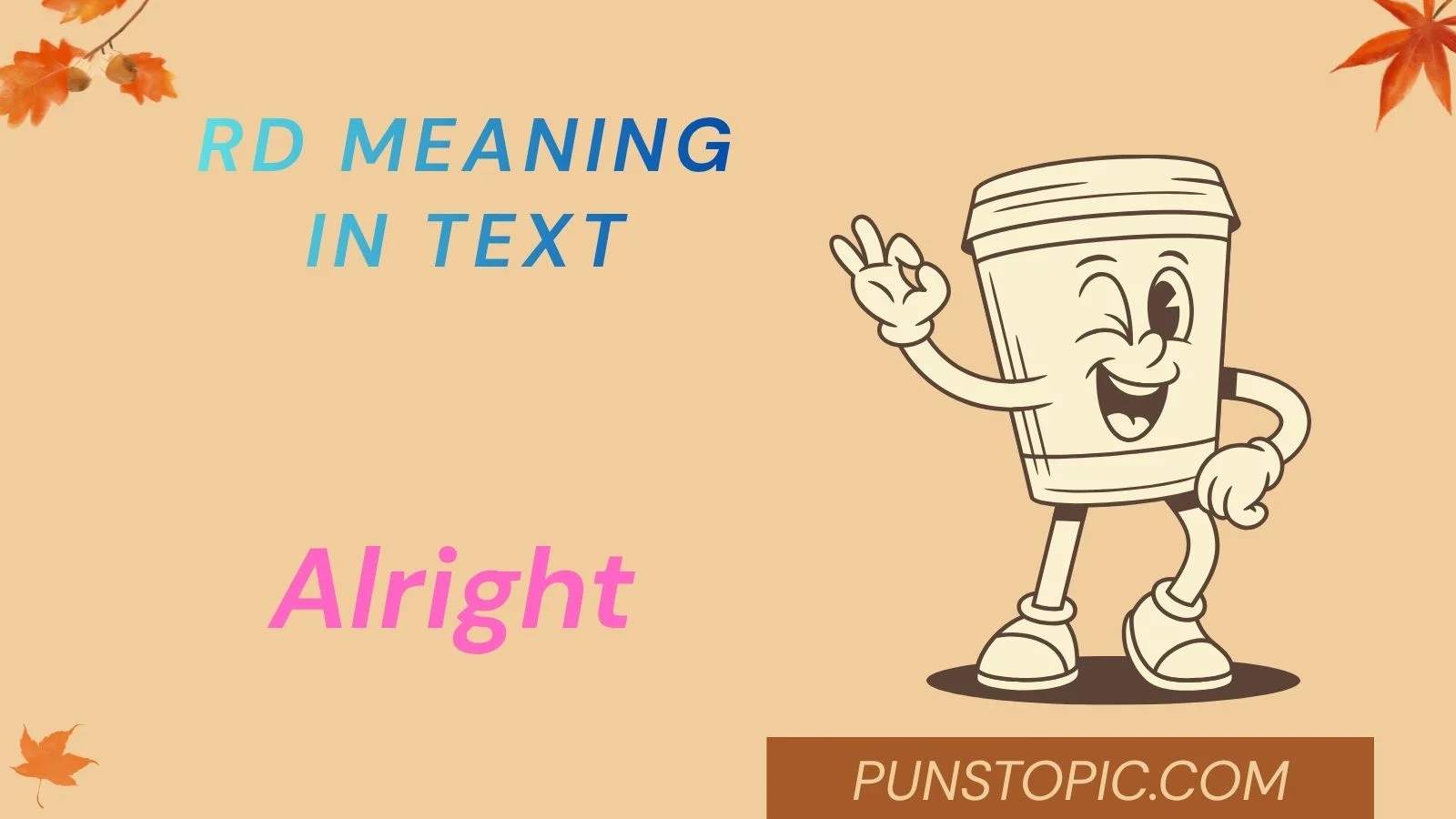 rd meaning in text