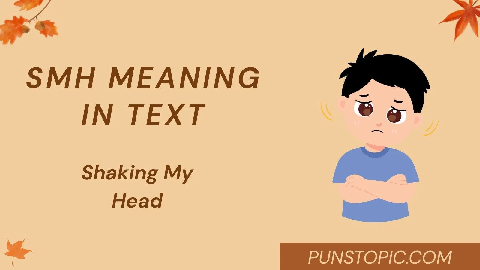 SMH Meaning in Text