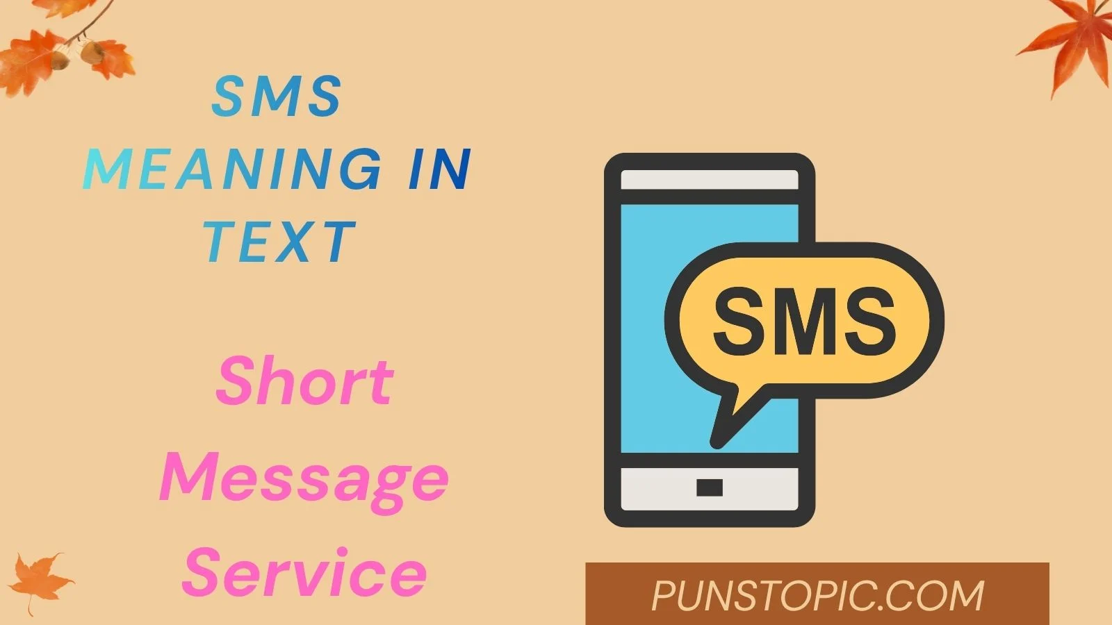sms meaning in text