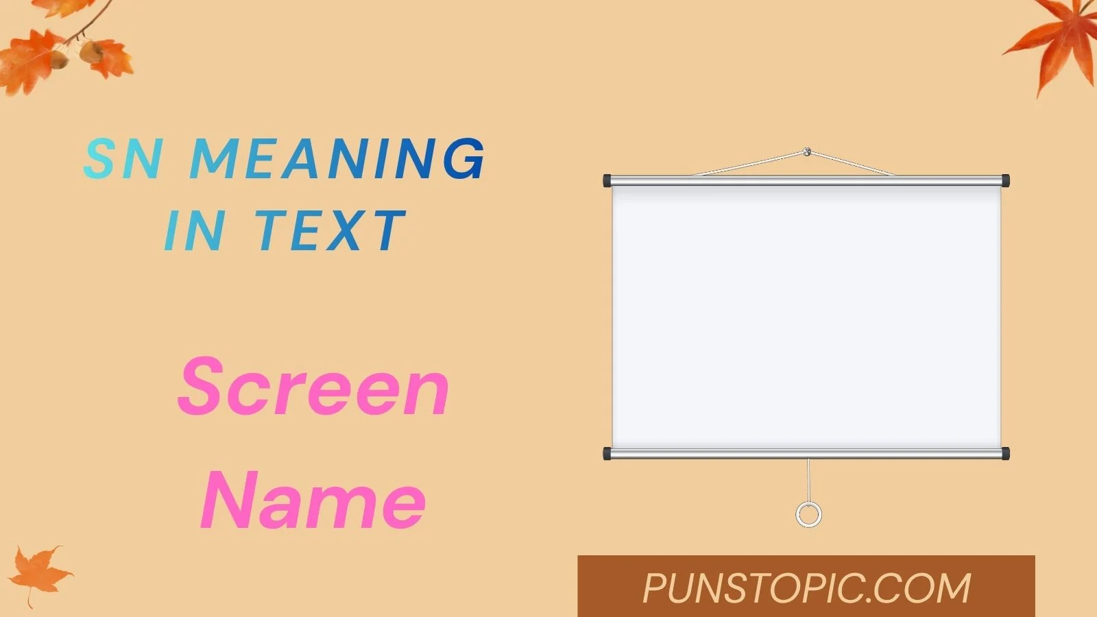 sn meaning in text