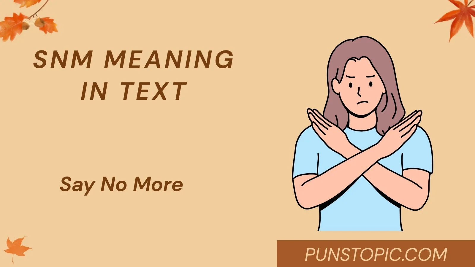snm meaning in text