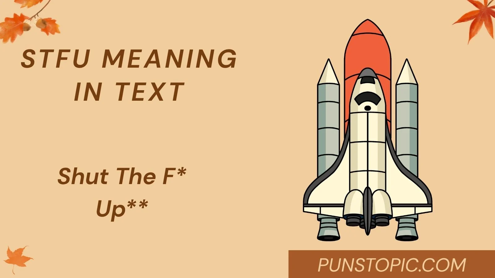 stfu meaning in text