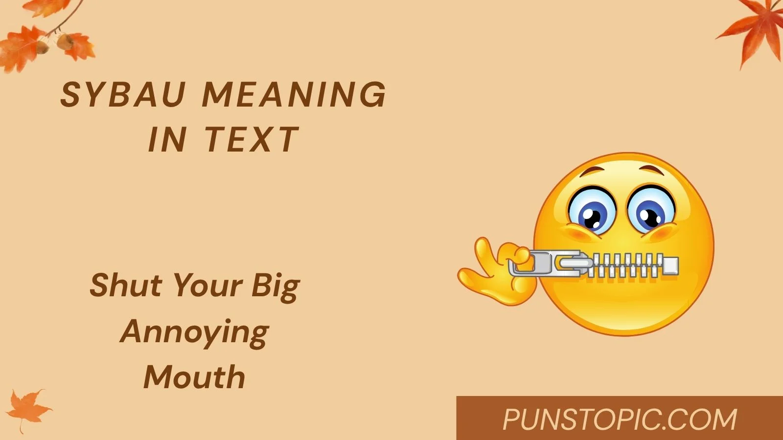 SYBAU Meaning in Text
