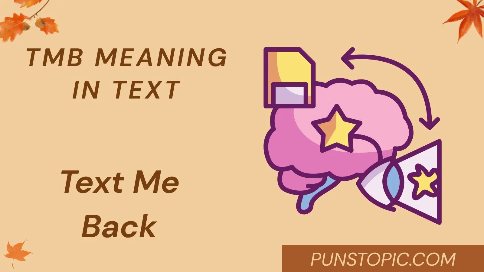 tmb meaning in text