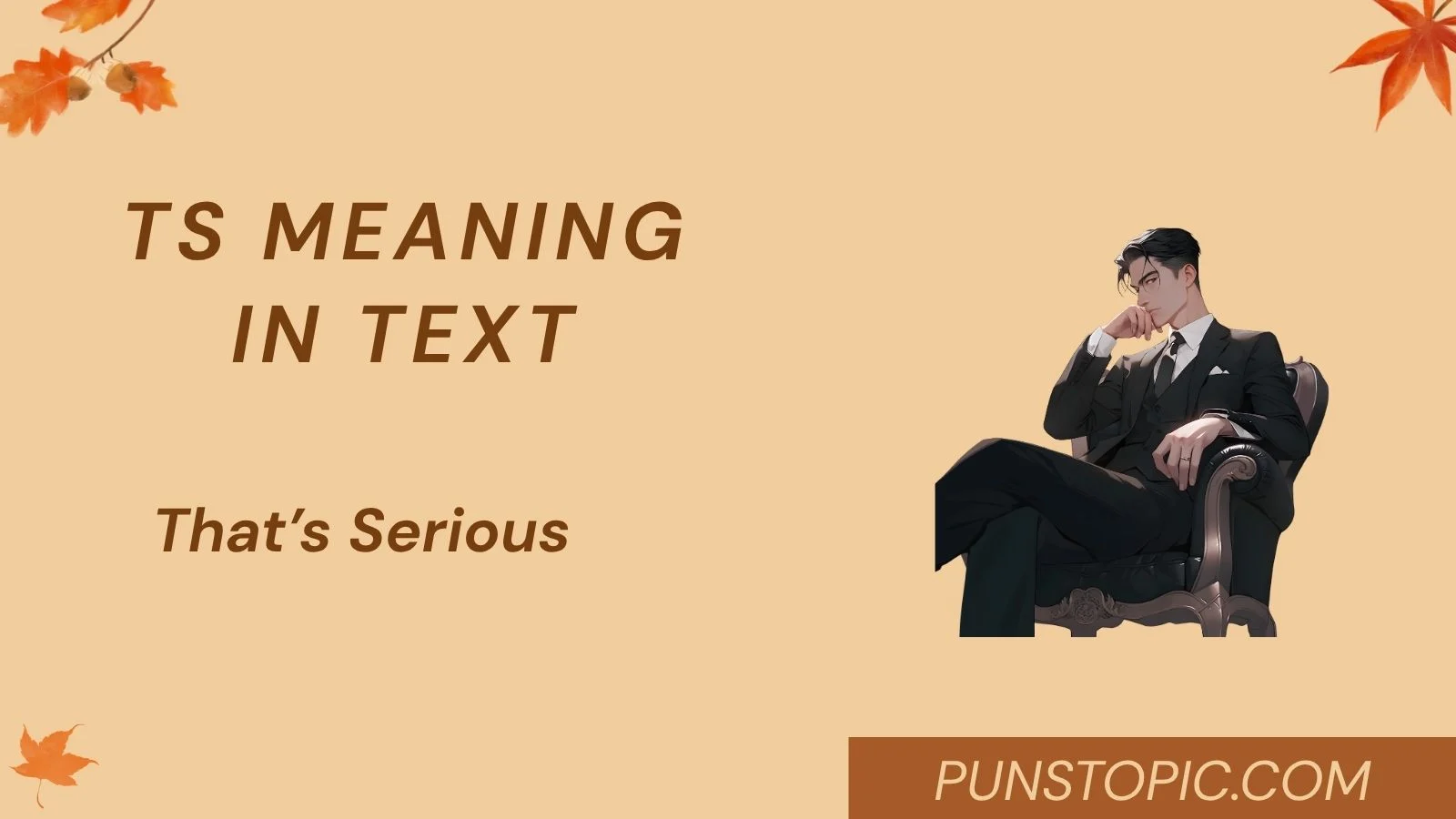 TS Meaning in Text