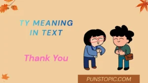 ty meaning in text
