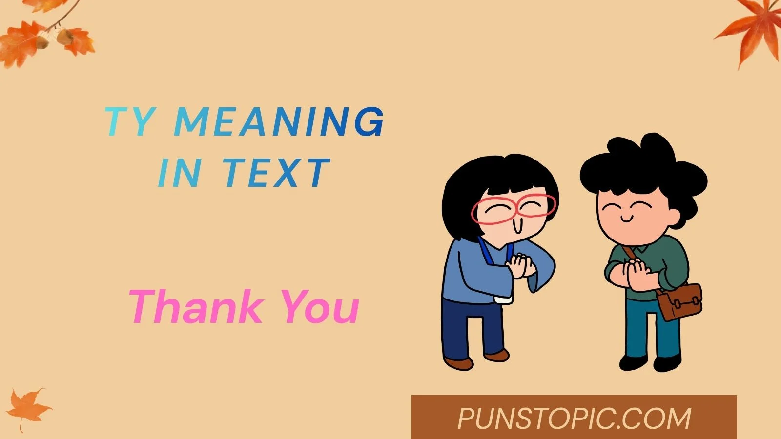 ty meaning in text