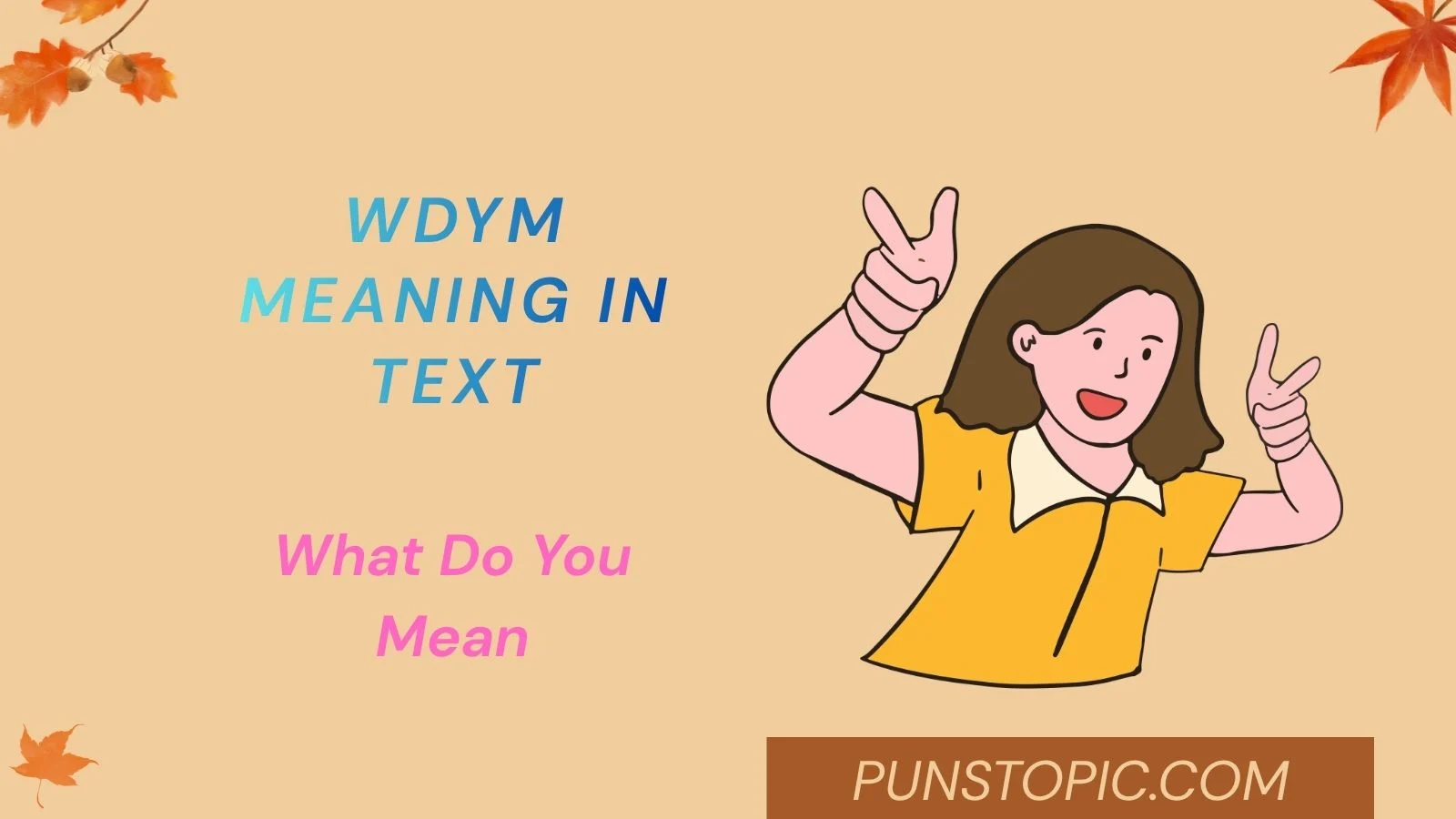 wdym meaning in text