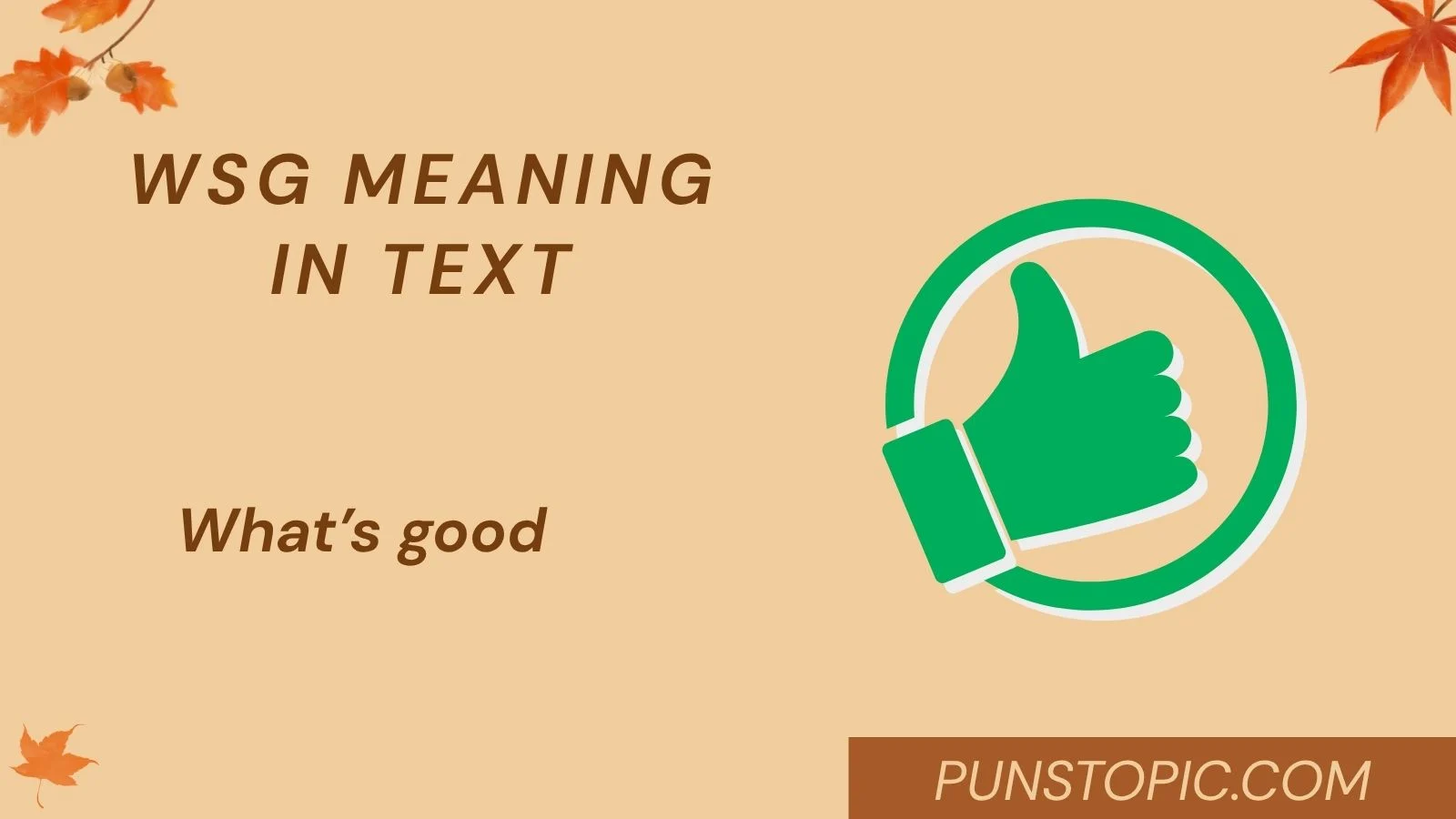 WSG Meaning in Text