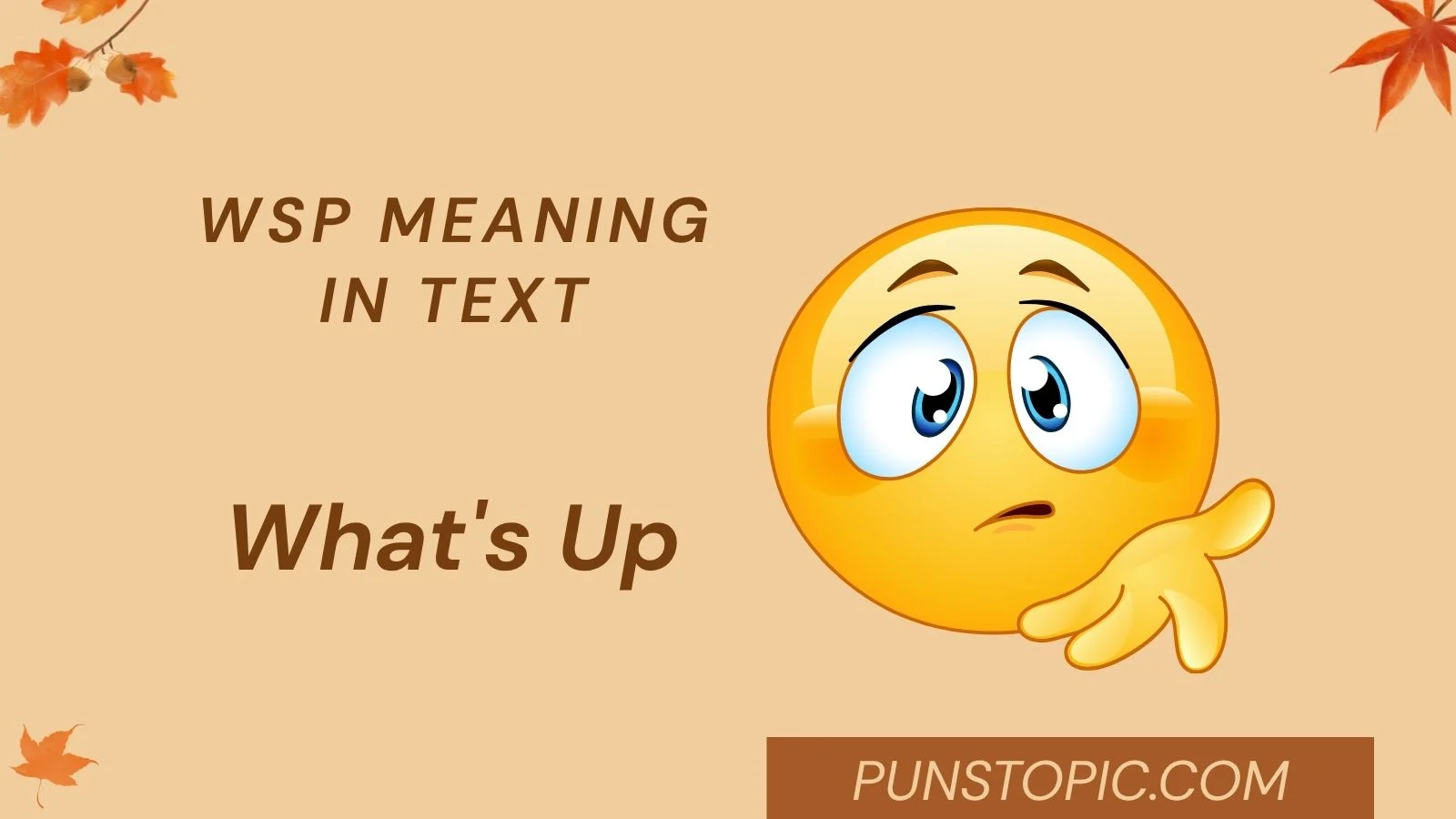 WSP Meaning in Text