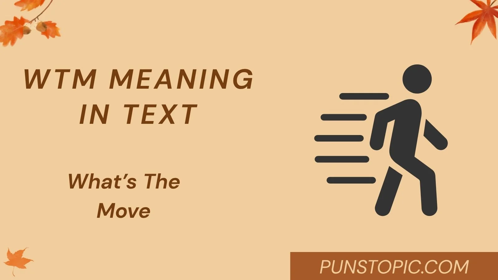 WTM Meaning in Text
