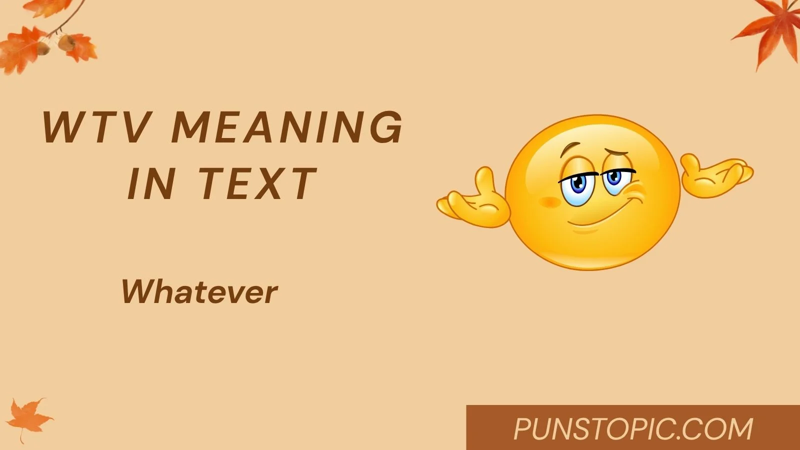 WTV Meaning in Text