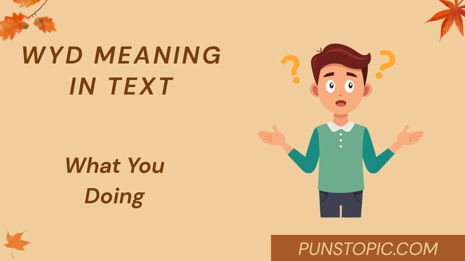 wyd meaning in text