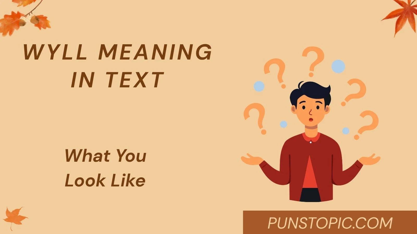 wyll meaning in text