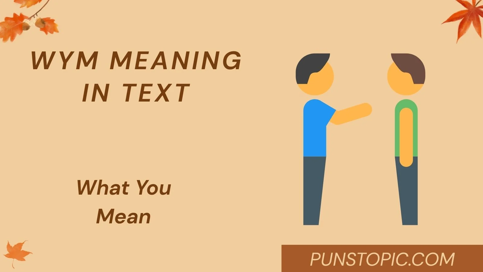 wym meaning in text